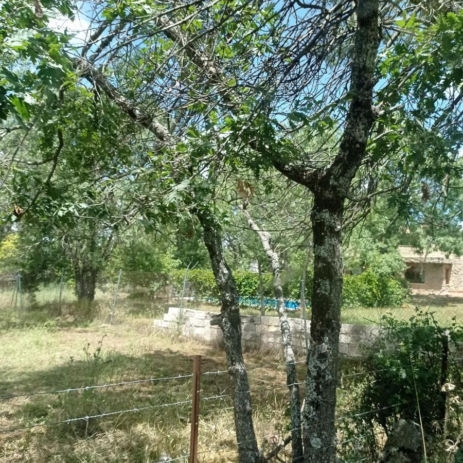 Casa Rural Vinas Perdidas ベハル エクステリア 写真
