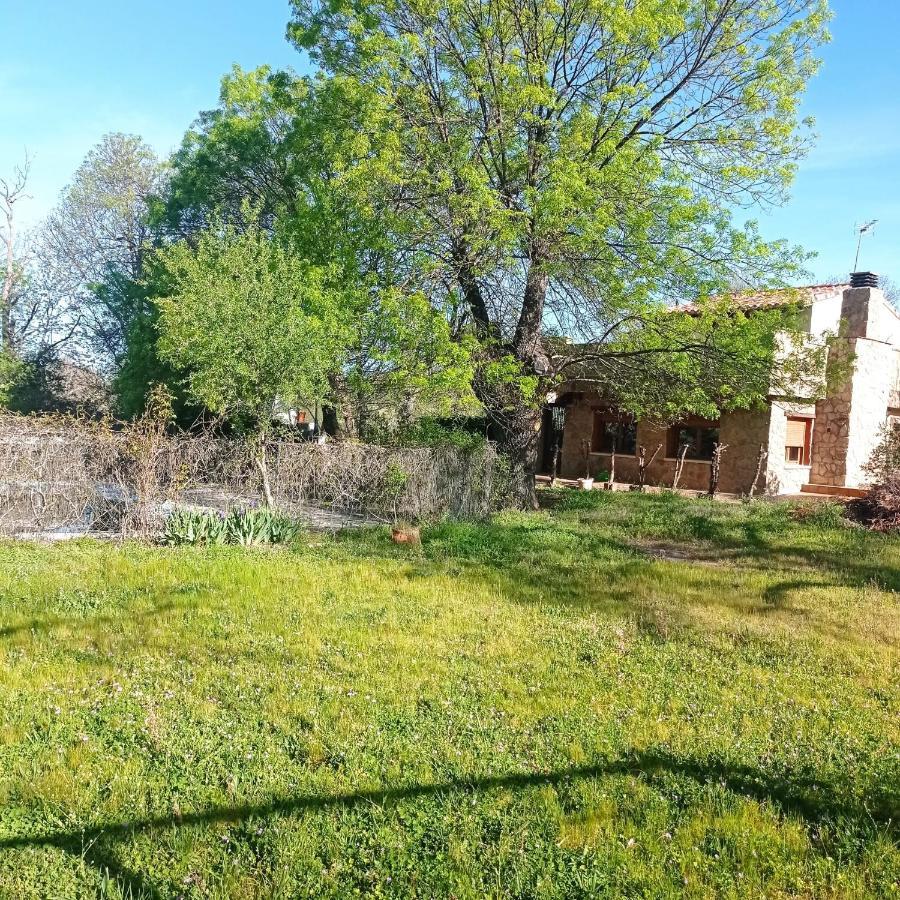 Casa Rural Vinas Perdidas ベハル エクステリア 写真
