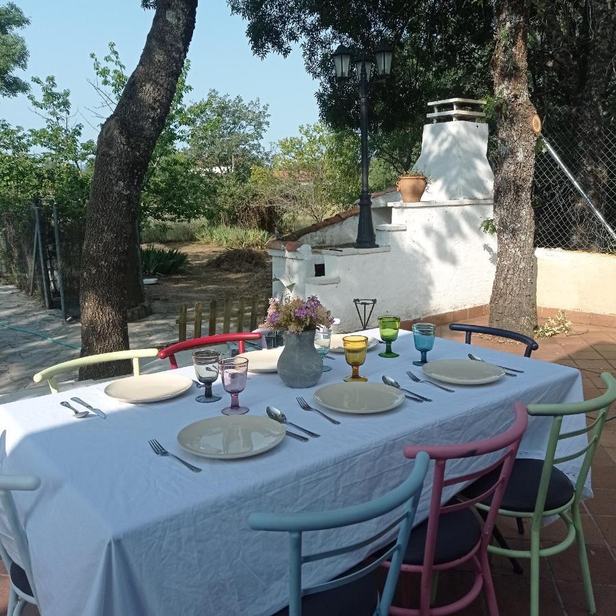 Casa Rural Vinas Perdidas ベハル エクステリア 写真