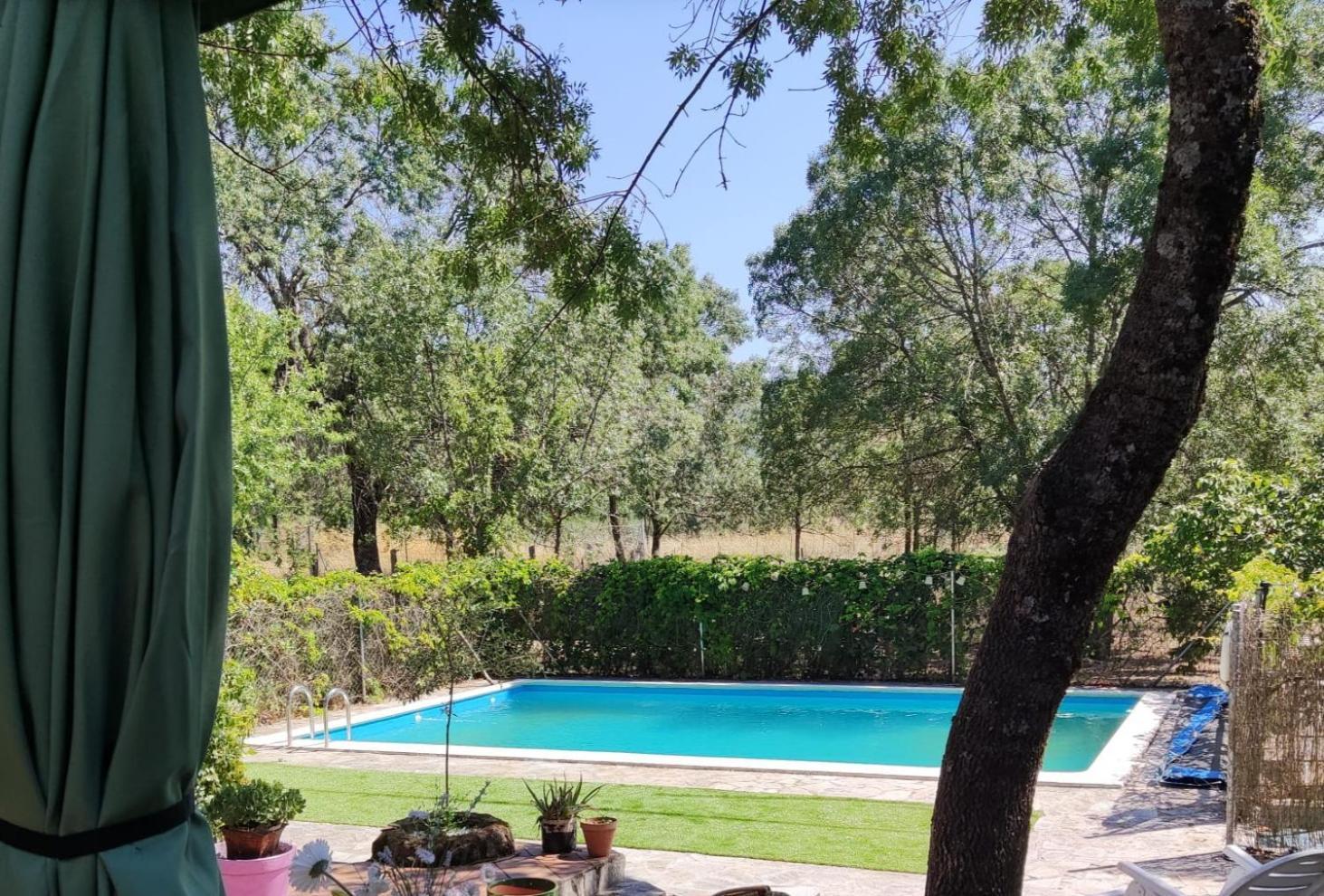 Casa Rural Vinas Perdidas ベハル エクステリア 写真