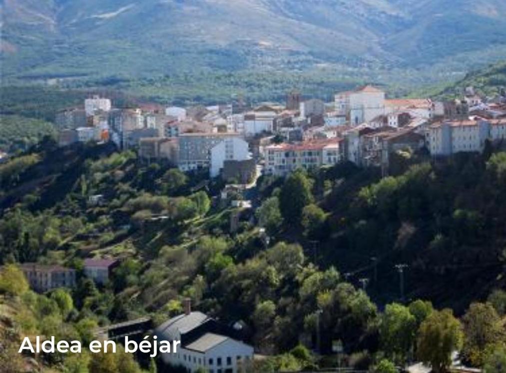 Casa Rural Vinas Perdidas ベハル エクステリア 写真