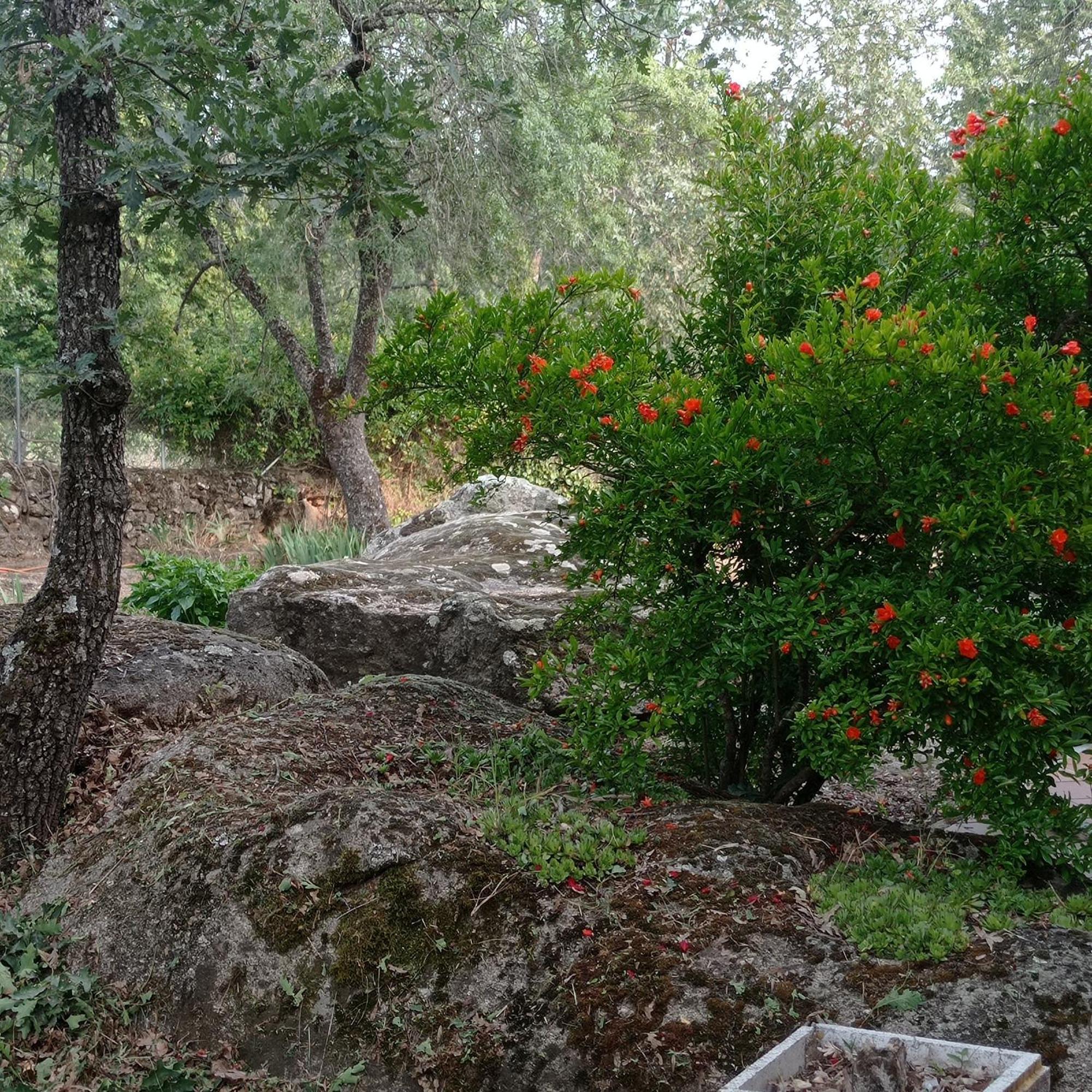 Casa Rural Vinas Perdidas ベハル エクステリア 写真