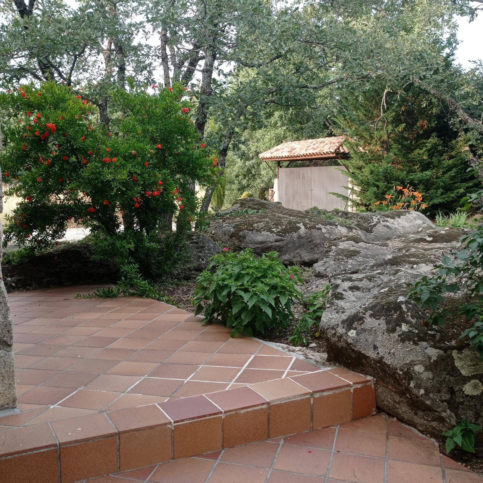 Casa Rural Vinas Perdidas ベハル エクステリア 写真